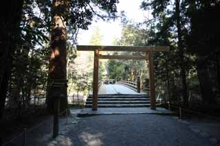 photo,material,free,landscape,picture,stock photo,Creative Commons,The inner shrine of Ise, , , , 