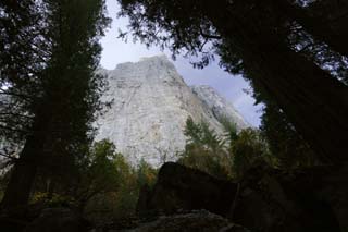 Foto, materiell, befreit, Landschaft, Bild, hat Foto auf Lager,Cliff, Klippe, Stein, Granit, groer Baum