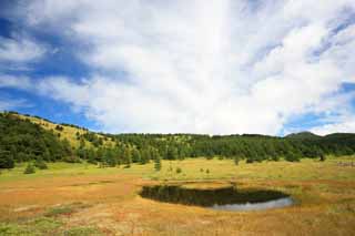 fotografia, materiale, libero il panorama, dipinga, fotografia di scorta,Takamine Kougen di ikenohira moor, , , , 