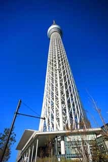 Foto, materiell, befreit, Landschaft, Bild, hat Foto auf Lager,Sky Tree, , , , 