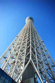 fotografia, materiale, libero il panorama, dipinga, fotografia di scorta,Sky Tree, , , , 