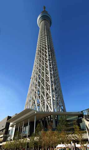 foto,tela,gratis,paisaje,fotografa,idea,Una vista panormica de la sky tree, , , , 