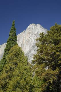 photo, la matire, libre, amnage, dcrivez, photo de la rserve,Il lve les yeux vers la falaise. , falaise, pierre, fort, arbre