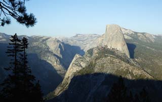 fotografia, materiale, libero il panorama, dipinga, fotografia di scorta,Mezza cupola, albero, Granito, foresta, pietra