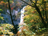 foto,tela,gratis,paisaje,fotografa,idea,Hojas encarnadas en la cascada de Kegon, , , , 