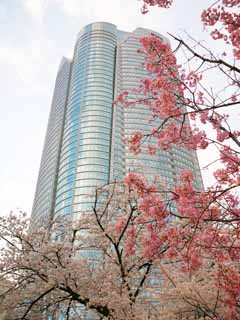 Foto, materiell, befreit, Landschaft, Bild, hat Foto auf Lager,Roppongi Hills, , , , 