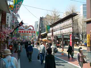 foto,tela,gratis,paisaje,fotografa,idea,Las tiendas comerciales de Jizo Sugamo, , , , 