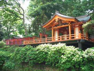 Foto, materieel, vrij, landschap, schilderstuk, bevoorraden foto,Nezu Shrine, , , , 