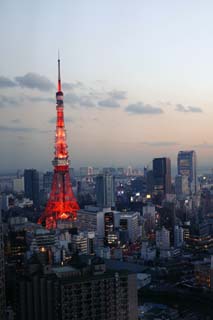 photo,material,free,landscape,picture,stock photo,Creative Commons,Tokyo Tower 2004, building, Tokyo Tower, Rainbow Bridge, coastal line