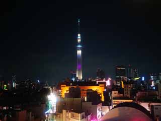 foto,tela,gratis,paisaje,fotografa,idea,Sky Tree, , , , 