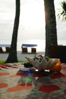 photo, la matire, libre, amnage, dcrivez, photo de la rserve,Une plaque de la fleur d'une coquille, coquille, Le soleil du cadre, Le rivage, table