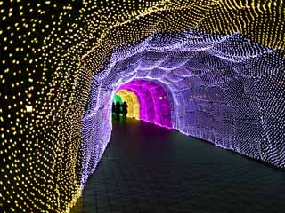 Foto, materieel, vrij, landschap, schilderstuk, bevoorraden foto,Licht Tunnel, , , , 