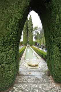 fotografia, materiale, libero il panorama, dipinga, fotografia di scorta,Generalife cipressi corridoio, , , , 