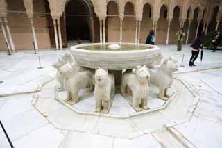 photo, la matire, libre, amnage, dcrivez, photo de la rserve,Palais de l'Alhambra patio Lion, , , , 