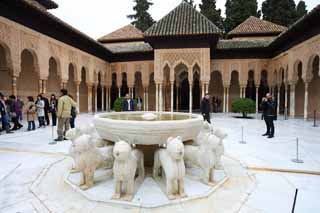 photo,material,free,landscape,picture,stock photo,Creative Commons,Alhambra Palace Lion patio, , , , 