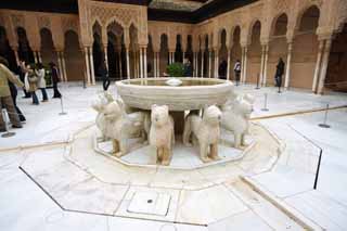 photo, la matire, libre, amnage, dcrivez, photo de la rserve,Palais de l'Alhambra patio Lion, , , , 