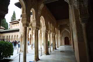 foto,tela,gratis,paisaje,fotografa,idea,Palacio de la Alhambra patio de Len, , , , 