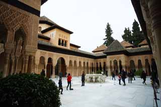 photo, la matire, libre, amnage, dcrivez, photo de la rserve,Palais de l'Alhambra patio Lion, , , , 