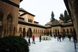 foto,tela,gratis,paisaje,fotografa,idea,Palacio de la Alhambra patio de Len, , , , 