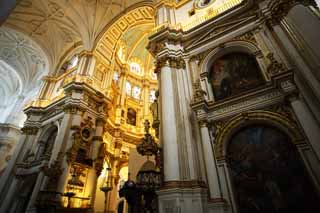 fotografia, material, livra, ajardine, imagine, proveja fotografia,A Catedral, , , , 