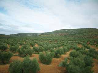 fotografia, materiale, libero il panorama, dipinga, fotografia di scorta,Vista panoramica, , , , 