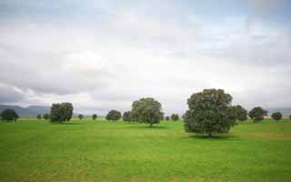 Foto, materieel, vrij, landschap, schilderstuk, bevoorraden foto,Panoramisch uitzicht, , , , 