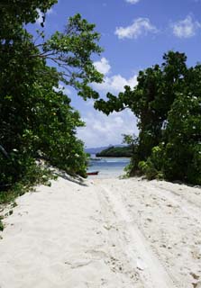 photo,material,free,landscape,picture,stock photo,Creative Commons,A southern country path, sandy beach, The sea, beach, road