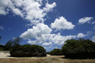 fotografia, materiale, libero il panorama, dipinga, fotografia di scorta,Golfo di Kawahira di marea di declino, Il mare, cielo blu, nube, pietra