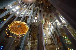 ,,, ,,,Sagrada Familia, , , , 