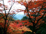 Foto, materiell, befreit, Landschaft, Bild, hat Foto auf Lager,Herbstfarbe und ein Berg, , , , 