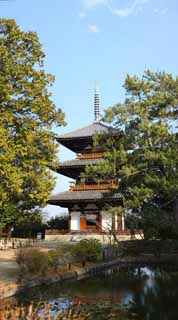 fotografia, materiale, libero il panorama, dipinga, fotografia di scorta,Tempio Hokiji, , , , 