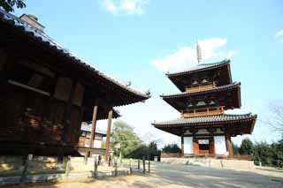 Foto, materieel, vrij, landschap, schilderstuk, bevoorraden foto,Hokiji tempel, , , , 