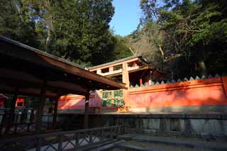 foto,tela,gratis,paisaje,fotografa,idea,Kasuga Taisha Shrine, , , , 