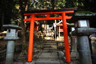 Foto, materieel, vrij, landschap, schilderstuk, bevoorraden foto,Kasuga Taisha heiligdom., , , , 