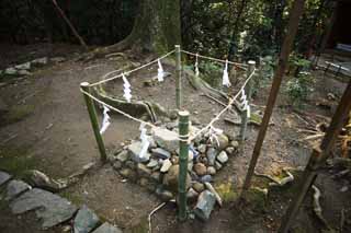 Foto, materiell, befreit, Landschaft, Bild, hat Foto auf Lager,Kasuga Taisha Shrine, , , , 