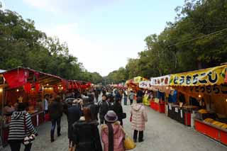 Foto, materieel, vrij, landschap, schilderstuk, bevoorraden foto,Kashihara Jingu Shrine, , , , 