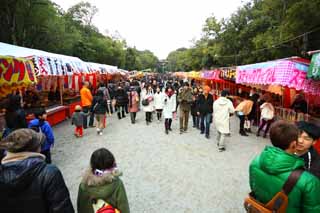 foto,tela,gratis,paisaje,fotografa,idea,Kashihara Jingu Shrine, , , , 