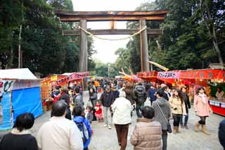 foto,tela,gratis,paisaje,fotografa,idea,Kashihara Jingu Shrine, , , , 