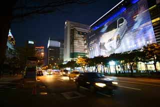 foto,tela,gratis,paisaje,fotografa,idea,Vista nocturna de Taipei, , , , 