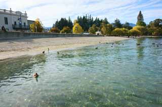 foto,tela,gratis,paisaje,fotografa,idea,Queenstown, , , , 