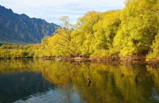 Foto, materieel, vrij, landschap, schilderstuk, bevoorraden foto,Queenstown, , , , 