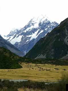 Foto, materieel, vrij, landschap, schilderstuk, bevoorraden foto,Mount Cook, , , , 