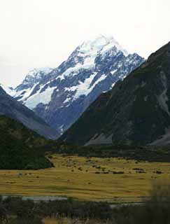 Foto, materieel, vrij, landschap, schilderstuk, bevoorraden foto,Mount Cook, , , , 