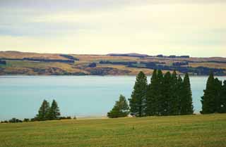 photo,material,free,landscape,picture,stock photo,Creative Commons,Lake Pukaki, , , , 