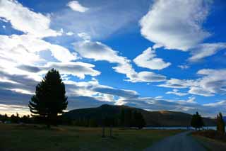 photo, la matire, libre, amnage, dcrivez, photo de la rserve,Tekapo, , , , 