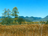 fotografia, materiale, libero il panorama, dipinga, fotografia di scorta,Autunno a Senjogahara, , , , 