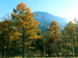 fotografia, materiale, libero il panorama, dipinga, fotografia di scorta,Mt. Nantaisan ed alberi di autunno, , , , 