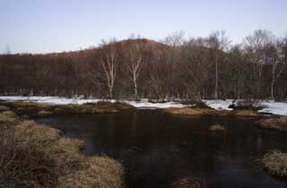 Foto, materiell, befreit, Landschaft, Bild, hat Foto auf Lager,Eine klamme Ebene eines frhen Morgens, Sumpf, Die Oberflche des Wassers, Berg, Baum