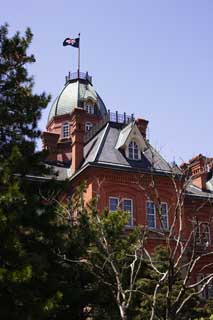 photo,material,free,landscape,picture,stock photo,Creative Commons,Hokkaido agency, The Hokkaido Government Office, European-style building, building, brick