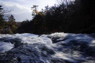 photo, la matire, libre, amnage, dcrivez, photo de la rserve,Un automne vite ruisseau coulant, chute d'eau, courant, Eau, rivire